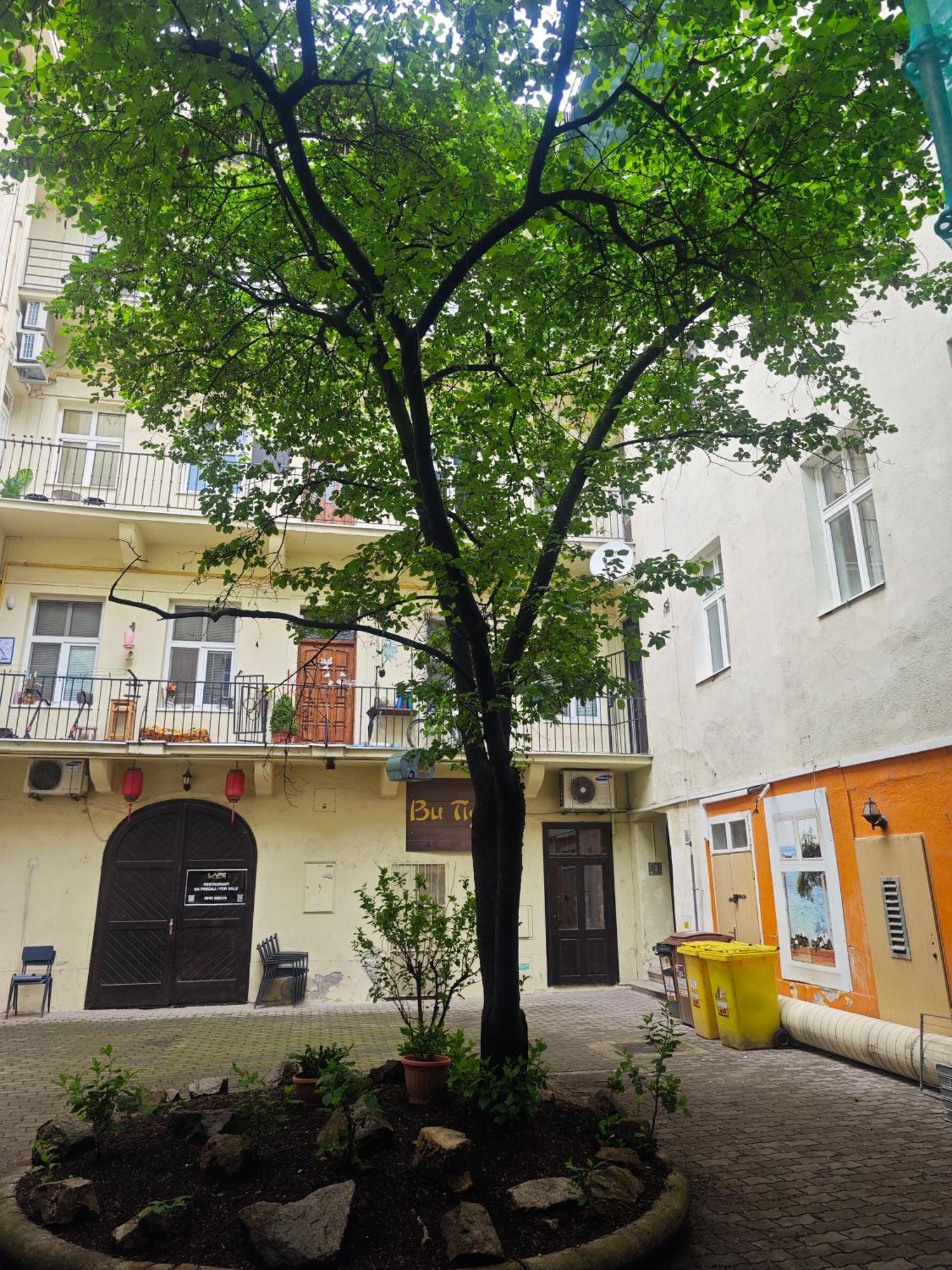 Laurinska Modern Apartment In Direct Centrum Of Bratislava, Air-Condition Exterior photo